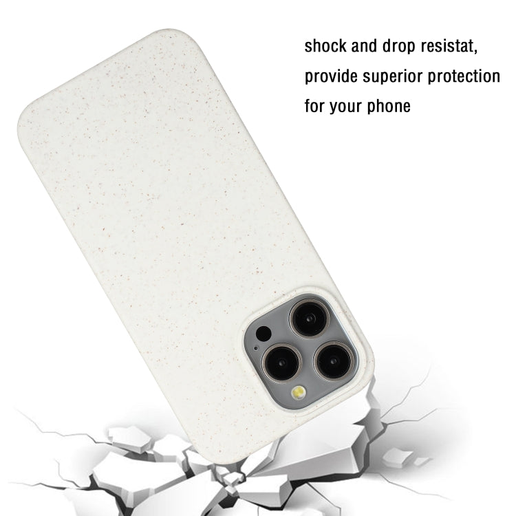 For iPhone 15 Pro Max Wheat MagSafe Magnetic Straw Material + TPU Phone Case(White) - HoMEdemic™ 