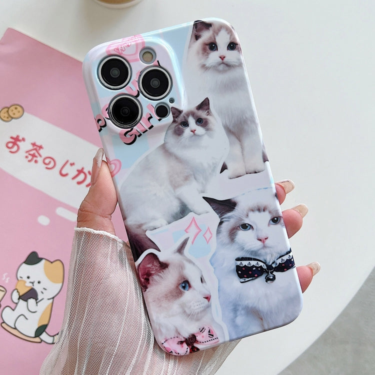 For iPhone 15 Pro PC Phone Case(White Cat) - HoMEdemic™ 