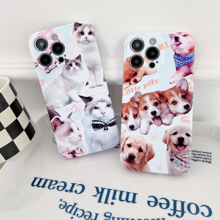 For iPhone 15 Pro PC Phone Case(White Cat) - HoMEdemic™ 