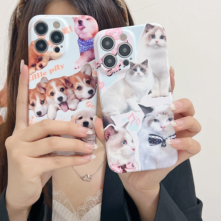 For iPhone 15 Pro PC Phone Case(White Cat) - HoMEdemic™ 