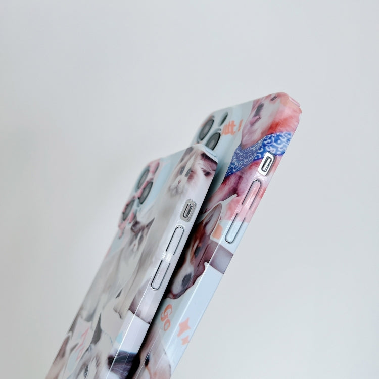For iPhone 15 Pro PC Phone Case(White Cat) - HoMEdemic™ 