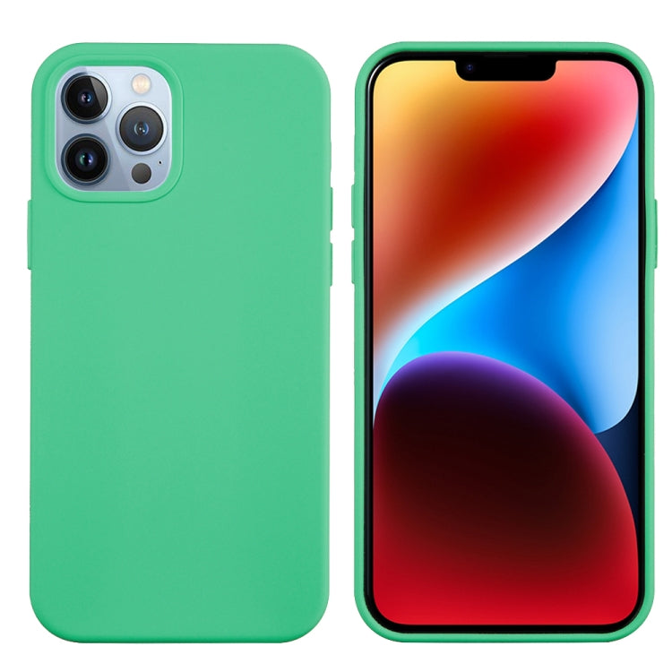 For iPhone 15 Pro Solid Color Silicone Phone Case(Green) - HoMEdemic™ 