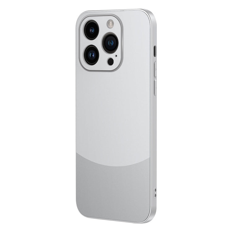 For iPhone 15 Pro Two Color Frosted Shockproof Phone Case(Silver) - HoMEdemic™ 