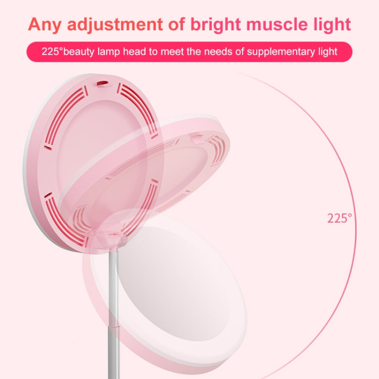 G6 Multi-function Live Broadcast All-in-one Ring Beauty Fill Light Mobile Phone Holder, G6 - HoMEdemic™ 