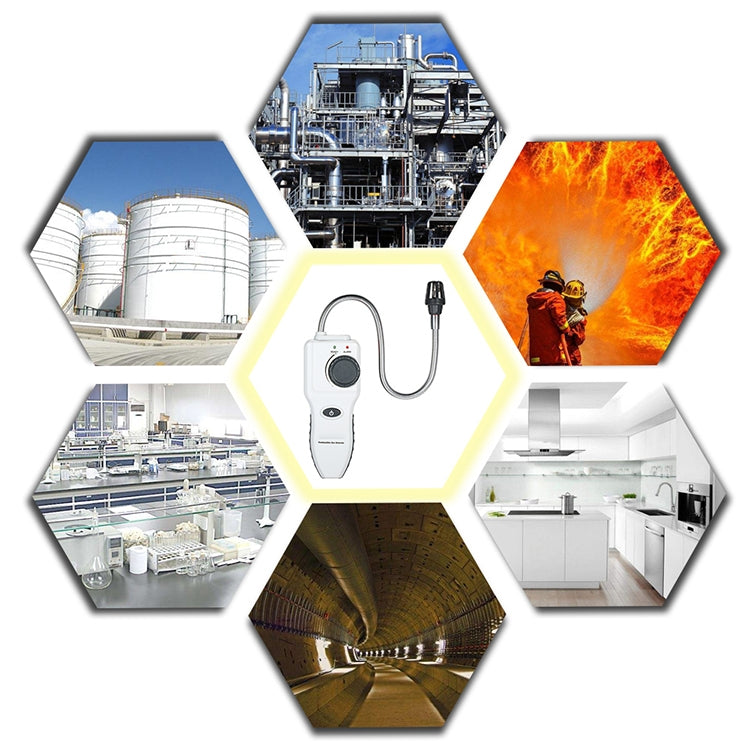 GM8800B Portable Combustible Gas Detector - HoMEdemic™ 