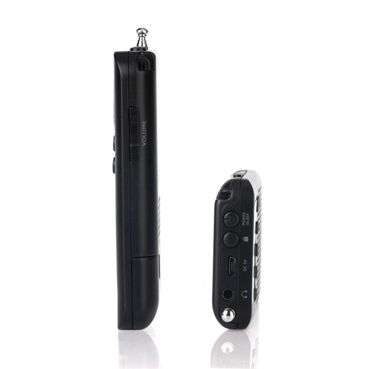 HRD-104 Mini Portable FM + AM Two Band Radio with Loudspeaker - HoMEdemic™ 