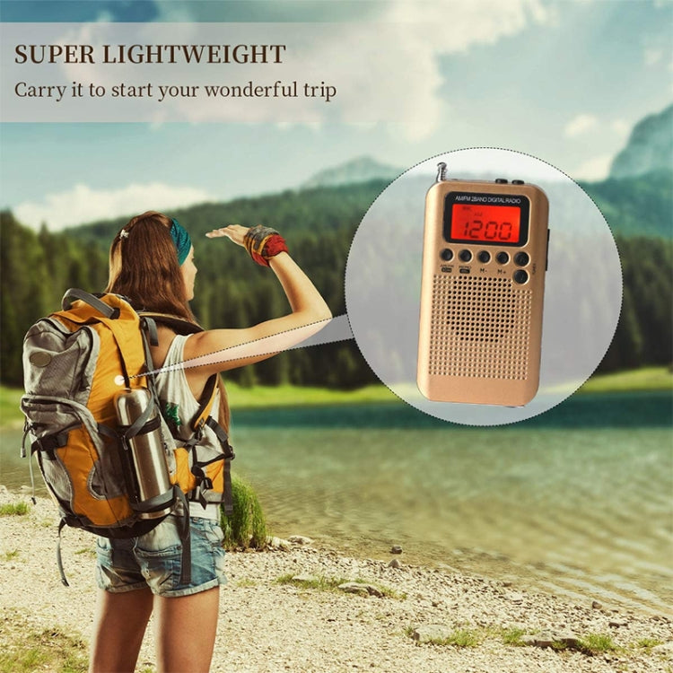 HRD-104 Mini Portable FM + AM Two Band Radio with Loudspeaker - HoMEdemic™ 