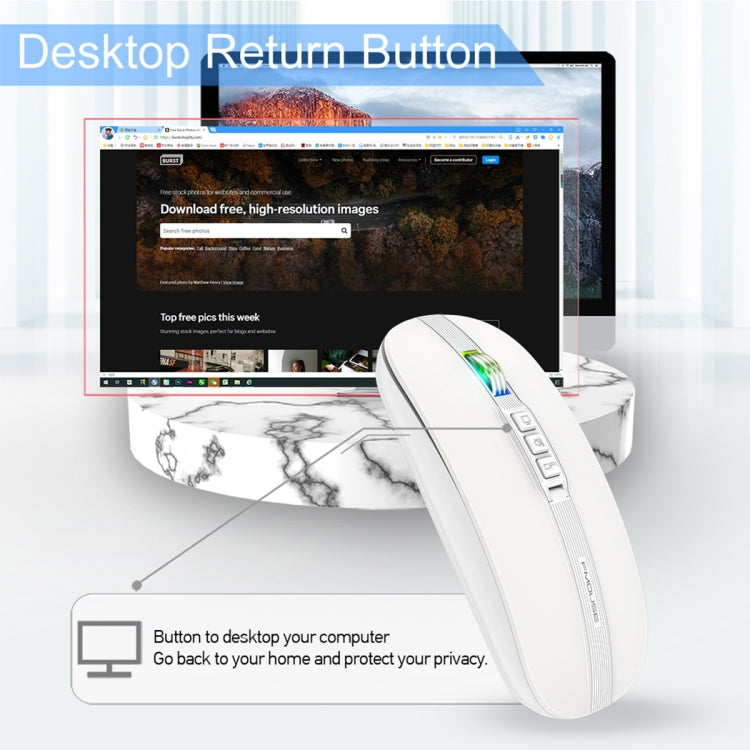 HXSJ M113 2400DPI Dual Mode 2.4GHz + Bluetooth 5.1 Wireless Mouse(Pearl White) - HoMEdemic™ 