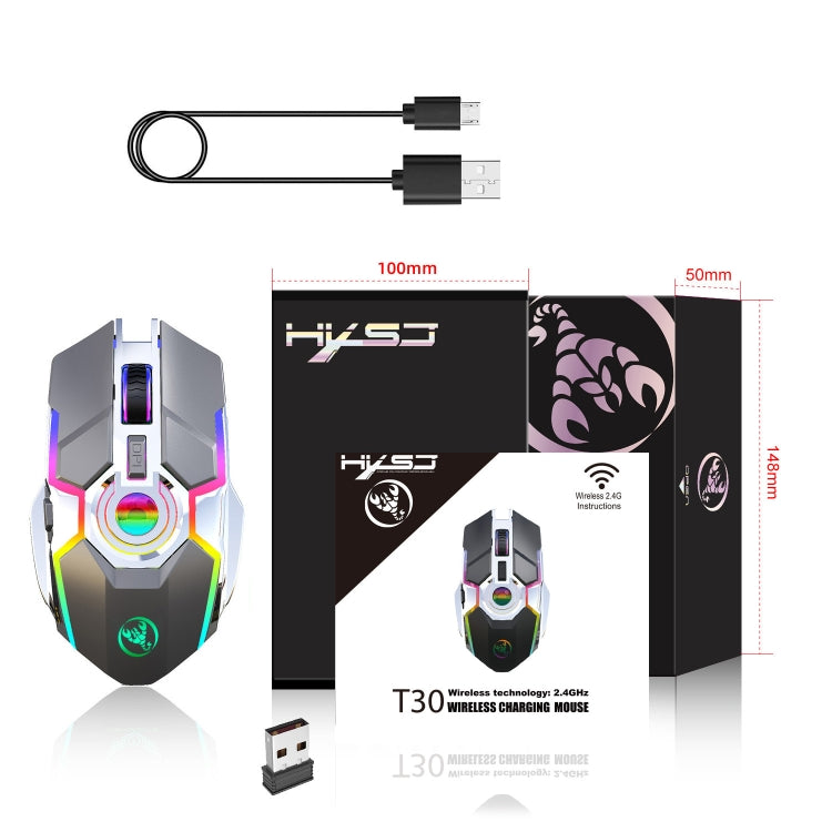 HXSJ T30 2400DPI RGB 2.4GHz Wireless Mouse(Metallic Grey) - HoMEdemic™ 