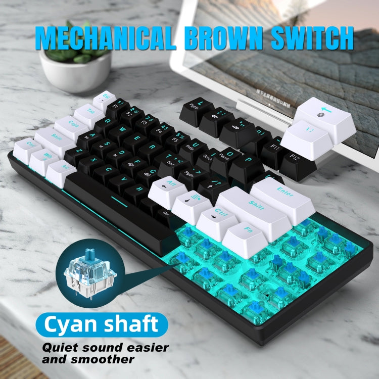 HXSJ V900 61 Keys Cool Lighting Effect Mechanical Wired Keyboard (Black White) - HoMEdemic™ 