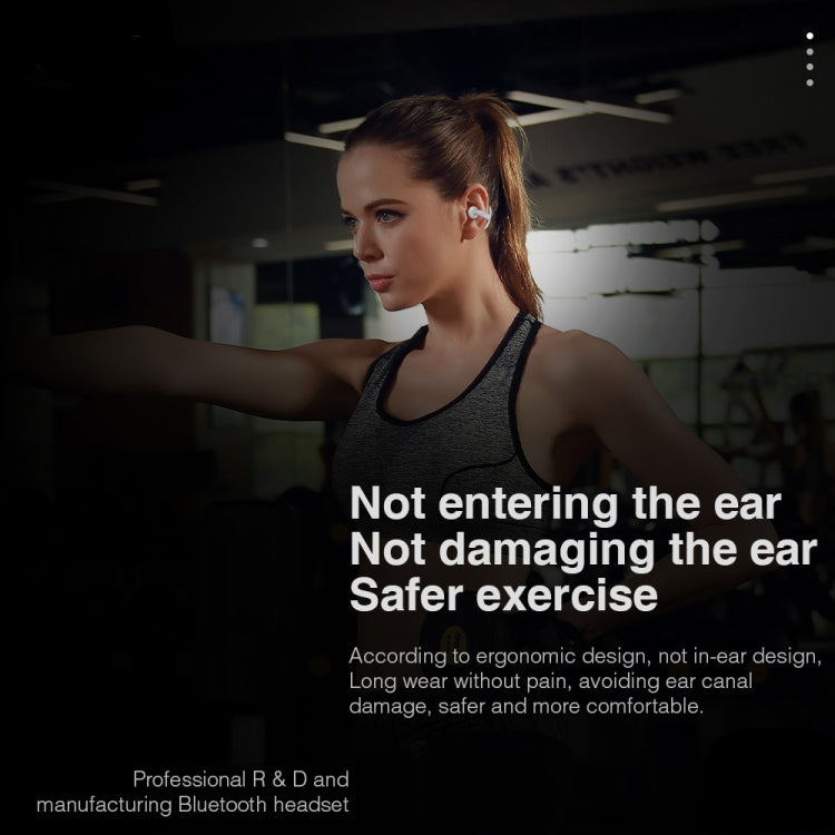 Hileo Hi80 TWS Wireless Bluetooth IPX5 Waterproof In-ear Sports Noise Reduction Earphone(Black) - HoMEdemic™ 