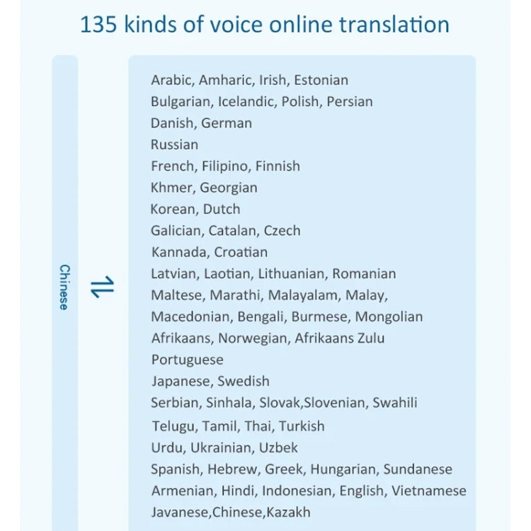 Hishell P40 Smart Translator 135 Languages Voice Intelligent Online Translation Machine Offline Multilanguage Speech Translate(Black) - HoMEdemic™ 