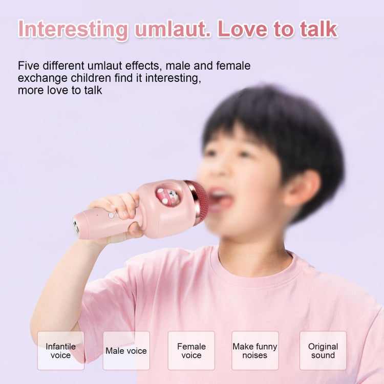 ICARER FAMILY F816 Karaoke Microphone Speaker Home Bluetooth Wireless Microphone(Pink) - HoMEdemic™ 