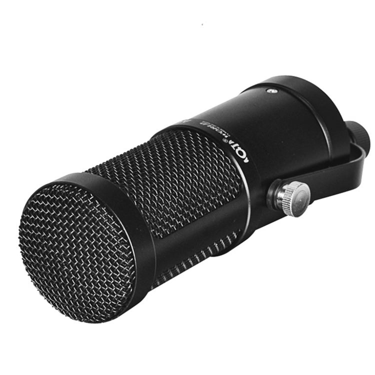 AQ-210 K Song Live Recording Capacitor Microphone - HoMEdemic™ 