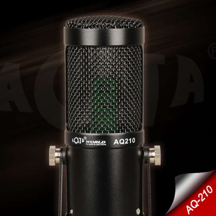 AQ-210 K Song Live Recording Capacitor Microphone - HoMEdemic™ 
