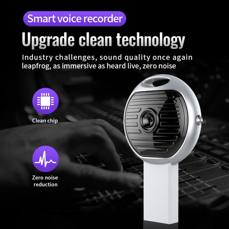JNN S13 Zinc Alloy U-disk Voice Recorder, Memory:16GB(Silver) - HoMEdemic™ 