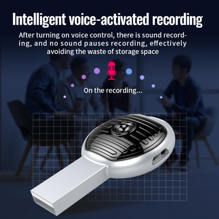 JNN S13 Zinc Alloy U-disk Voice Recorder, Memory:4GB(Silver) - HoMEdemic™ 