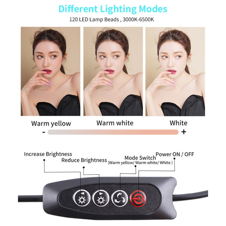 JSK-B1 USB Portable Ten-level Brightness Adjustable Live Conference Desktop LED Fill Light, Color Temperature: 3000-6500K - HoMEdemic™ 