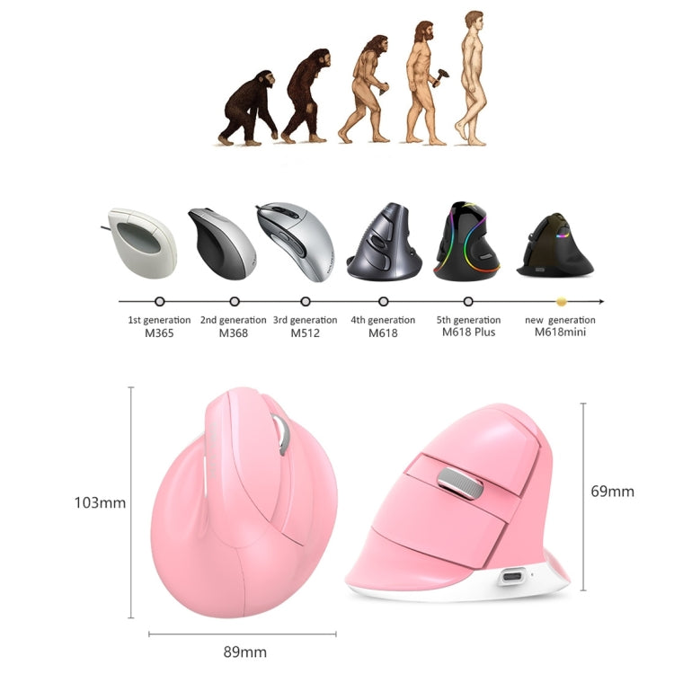 DELUX M618 Mini 2.4G Wireless 2400DPI USB Rechargeable Ergonomic Vertical Mouse (White) - HoMEdemic™ 