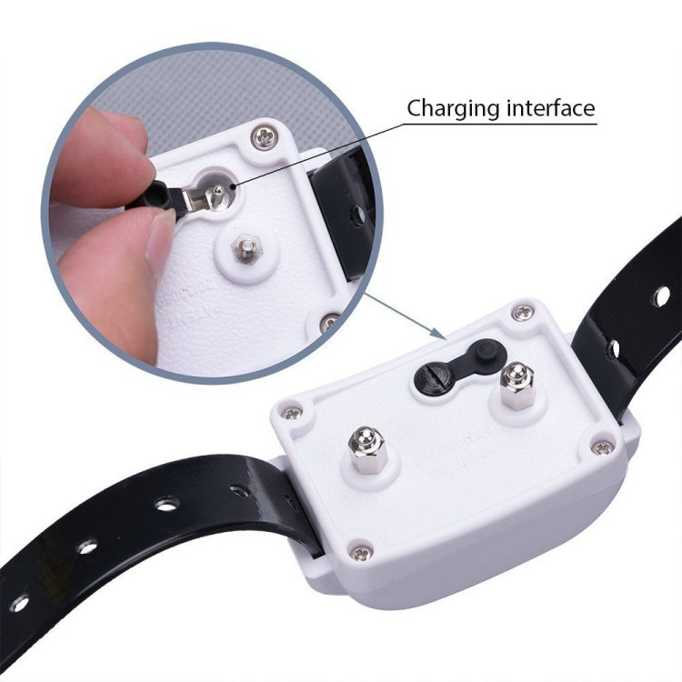 KD-661 500m Wireless Electric Dog Pet Fence Shock Collar,Spec: For Two Dog(US Plug) - HoMEdemic™ 