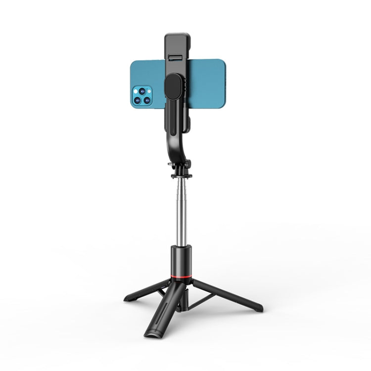 L13D Bluetooth Remote Control Detachable Fill Light Tripod Selfie Stick Phone Holder, L13D - HoMEdemic™ 