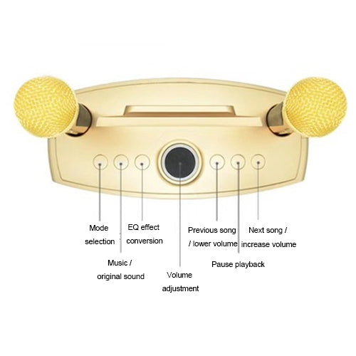 SD-306 2 in 1 Family KTV Portable Wireless Live Dual Microphone + Bluetooth Speaker, SD-306(Black) - HoMEdemic™ 