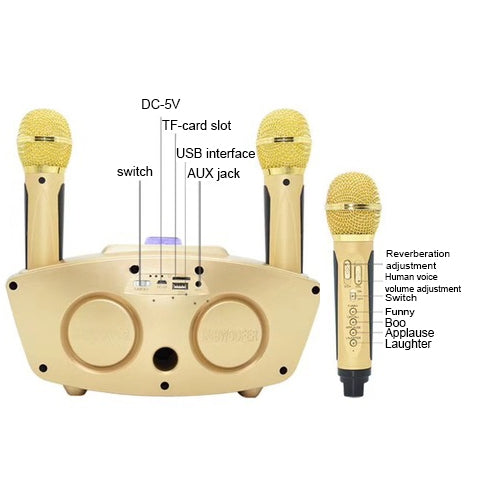 SD-306 2 in 1 Family KTV Portable Wireless Live Dual Microphone + Bluetooth Speaker, SD-306(Black) - HoMEdemic™ 