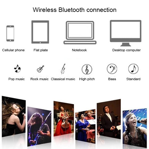 SD-306 2 in 1 Family KTV Portable Wireless Live Dual Microphone + Bluetooth Speaker, SD-306(Black) - HoMEdemic™ 