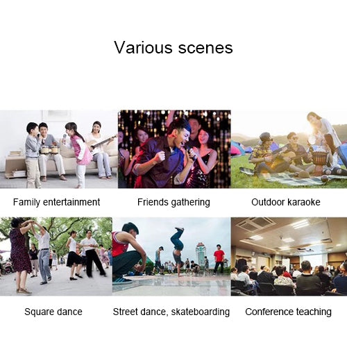 SD-306 2 in 1 Family KTV Portable Wireless Live Dual Microphone + Bluetooth Speaker, SD-306(Black) - HoMEdemic™ 