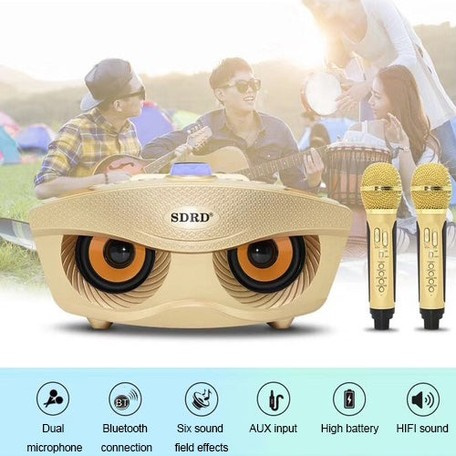 SD-306 2 in 1 Family KTV Portable Wireless Live Dual Microphone + Bluetooth Speaker, SD-306(Black) - HoMEdemic™ 