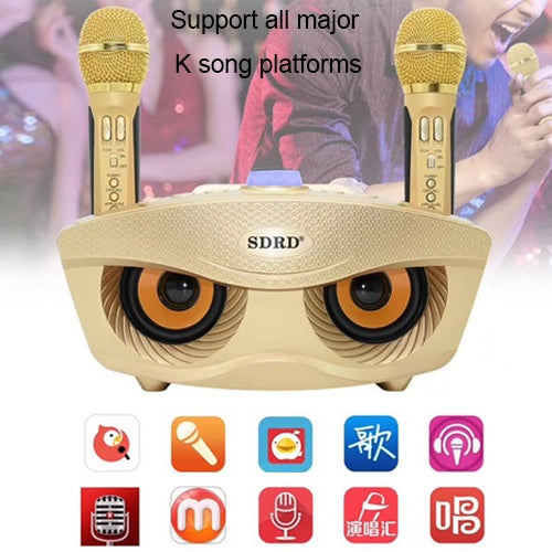 SD-306 2 in 1 Family KTV Portable Wireless Live Dual Microphone + Bluetooth Speaker, SD-306(Black) - HoMEdemic™ 