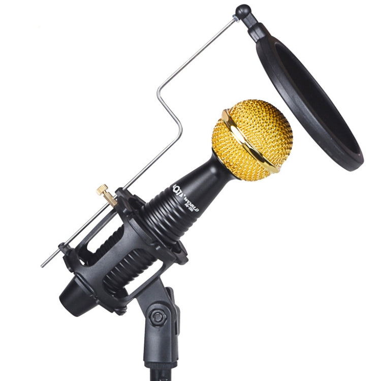 AQ-230 Zinc Alloy K Song Live Recording Noise Reduction Capacitor Microphone, with Shock Mount - HoMEdemic™ 