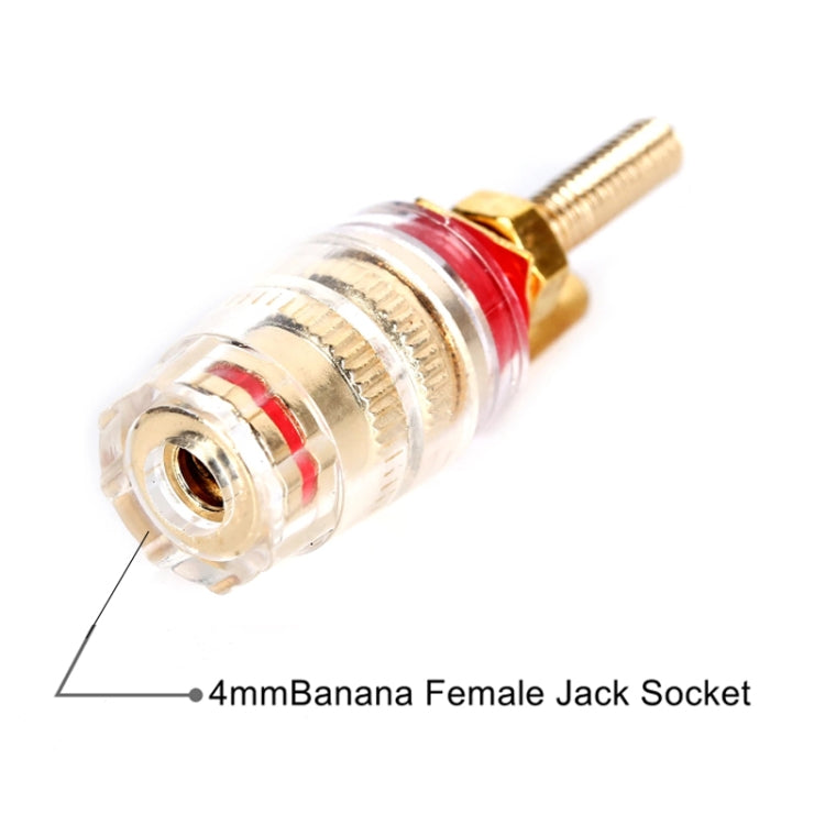 Medium Extended Transparent Terminal Block 4mm Banana Socket Audio Amplifier Junction Post(Red) - HoMEdemic™ 