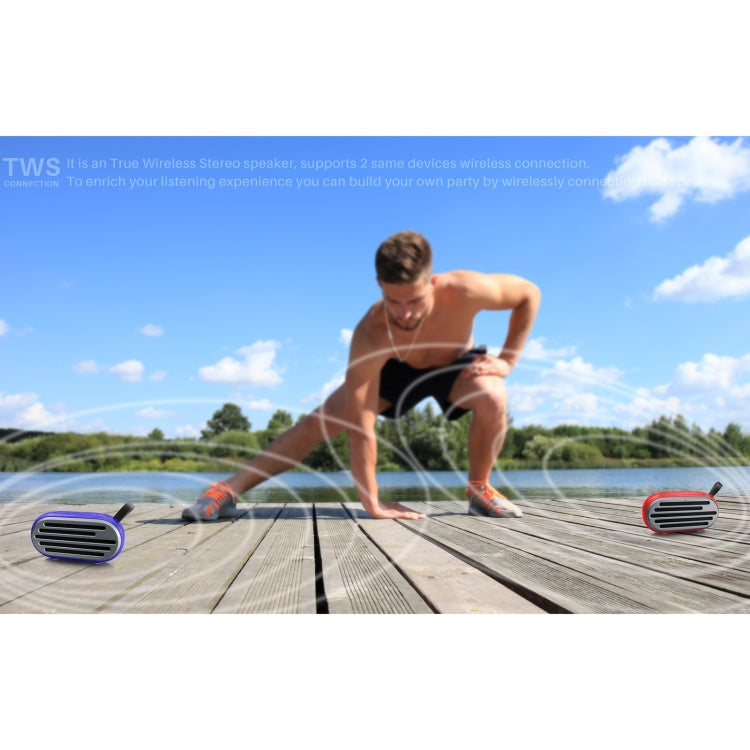 New Rixing NR-105 Mini TWS Metal Bluetooth Speaker Support Hands-free Call / FM(Black) - HoMEdemic™ 