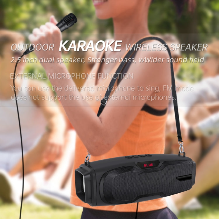 New Rixing NR-6012M Bluetooth 5.0 Portable Outdoor Karaoke Wireless Bluetooth Speaker with Microphone & Shoulder Strap(Green) - HoMEdemic™ 