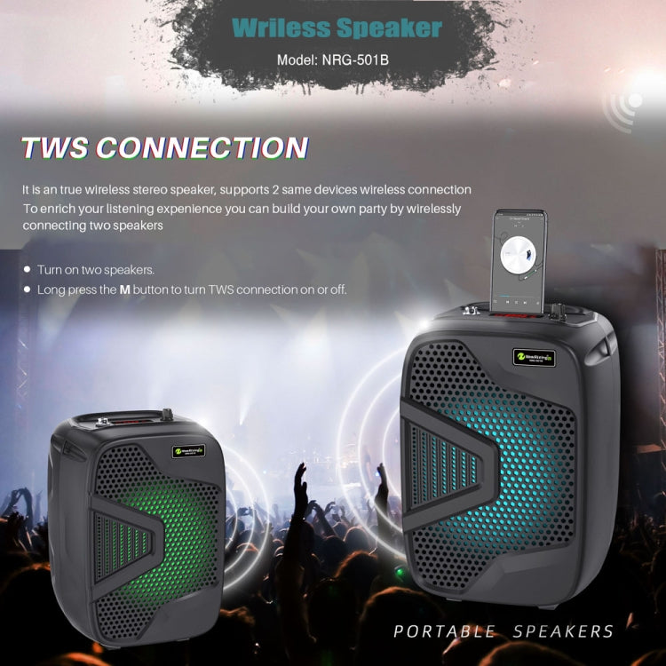 NewRixing NRG501B Outdoor Karaoke Wireless Speaker High-Power Audio Amplifier With Mic - HoMEdemic™ 
