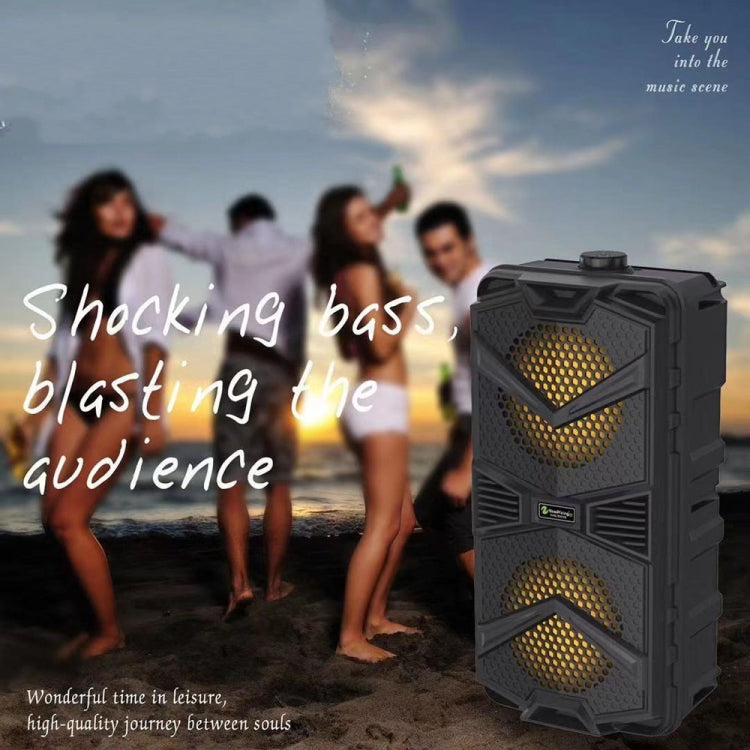 NewRixing NRG5501B Outdoor Portable Karaoke Wireless Speaker 16W Audio Amplifier with Mic - HoMEdemic™ 