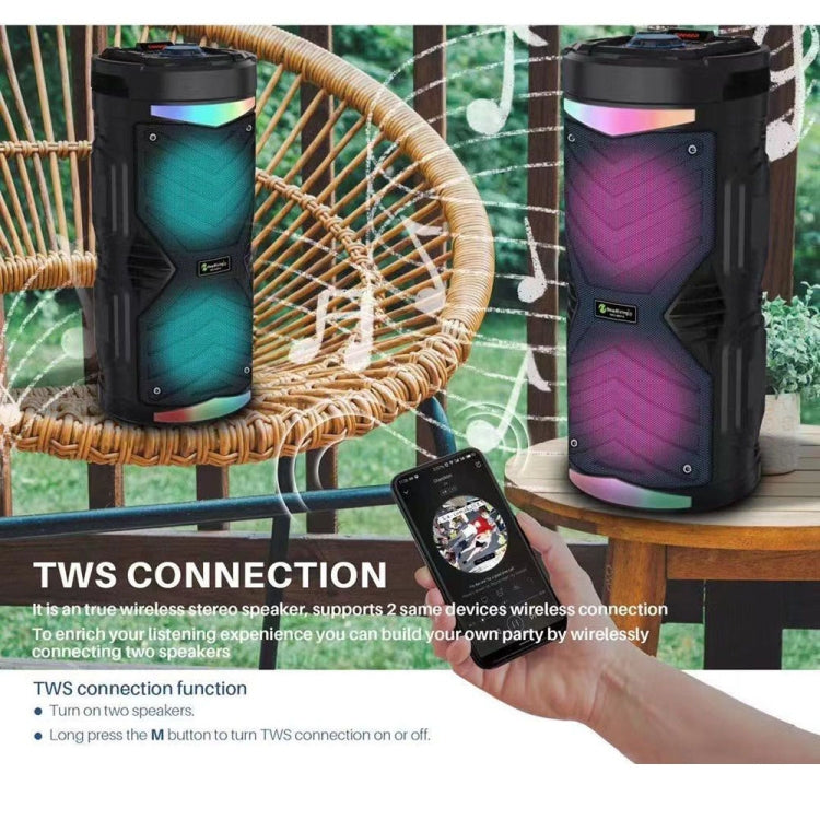 NewRixing NRG6601A Outdoor Portable Karaoke Wireless Speaker 20W Audio Amplifier With Mic(A) - HoMEdemic™ 