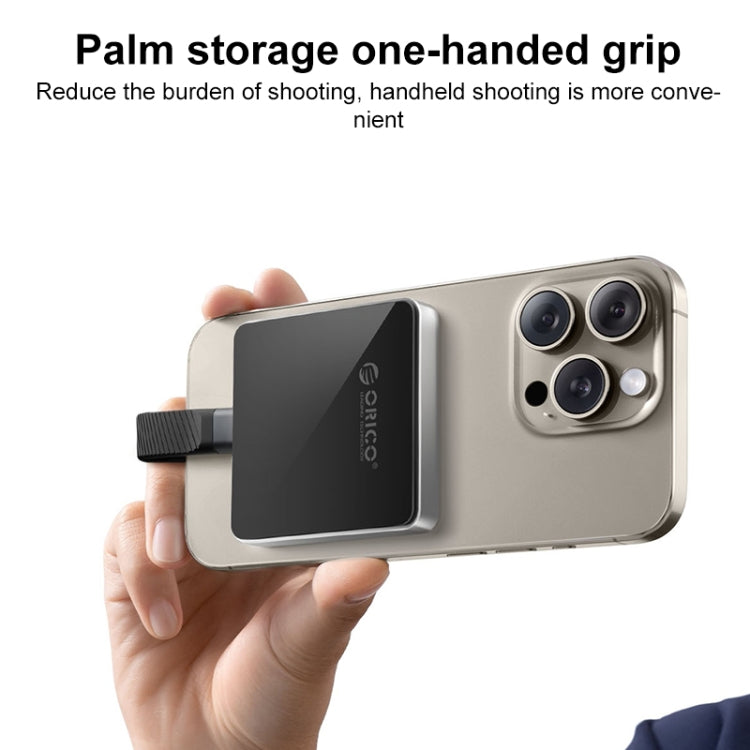 ORICO AP30-G2 M.2 2230 10Gbps USB-C / Type-C Port Magnetic Hard Disk Enclosure - HoMEdemic™ 