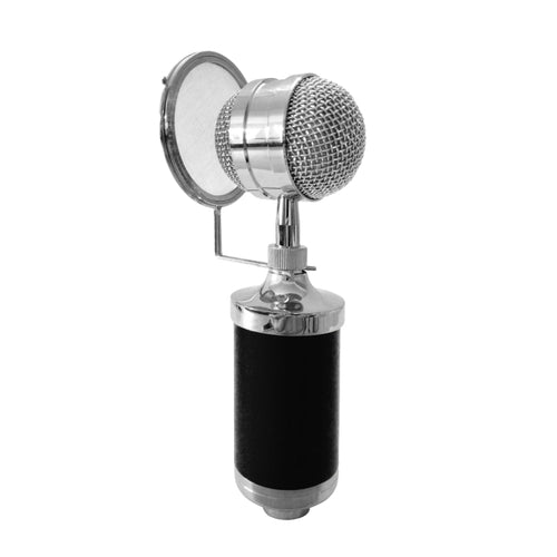 3000 Home KTV Mic Condenser Sound Recording Microphone with Shock Mount & Pop Filter for PC & Laptop, 3.5mm Earphone Port, Cable Length: 2.5m - HoMEdemic™ 