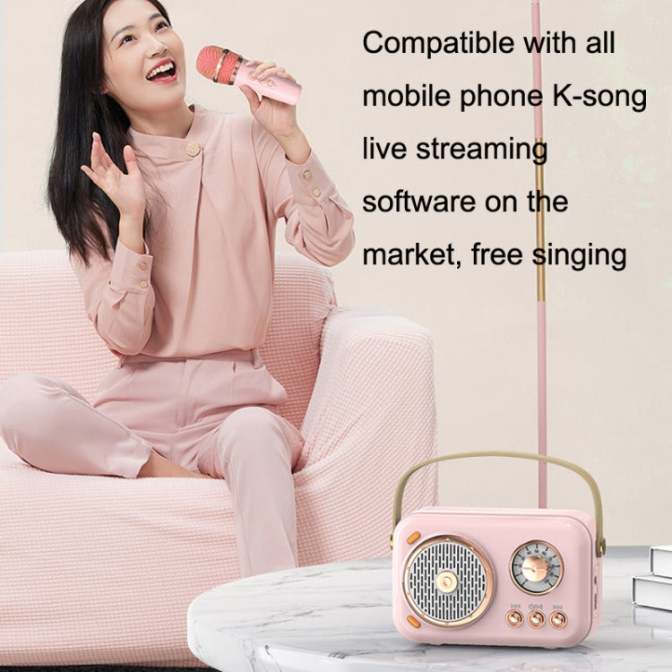 POLVCDG B152 Multi-Functional Small Family KTV Karaoke Microphone Sound Integration(Pink) - HoMEdemic™ 