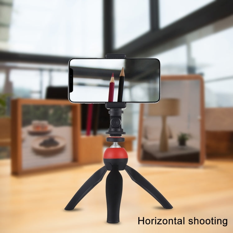PULUZ 1/4 inch Screw Thread Cold Shoe Tripod Mount Adapter - HoMEdemic™ 