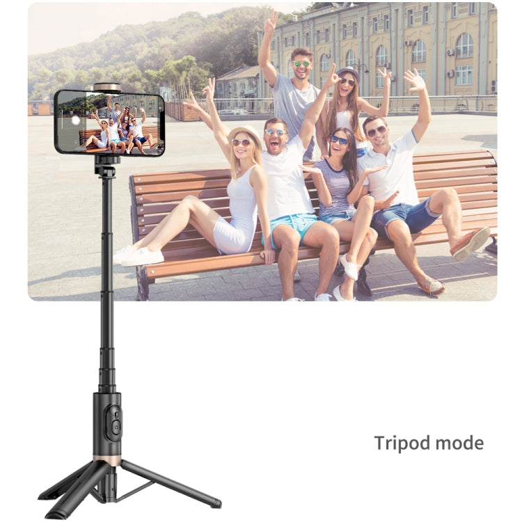 Q12 Hidden Design Reinforced Bluetooth Remote Control Tripod Selfie Stick, Q12 (Black) - HoMEdemic™ 