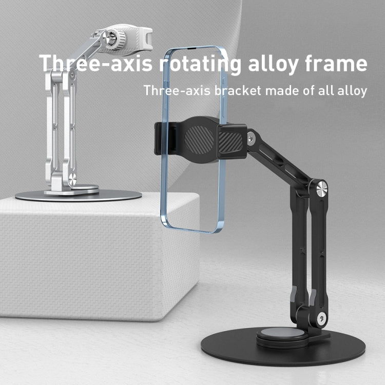 R-JUST HZ42 Clip Type Disc Rotating Phone Desktop Stand(Silver) - HoMEdemic™ 