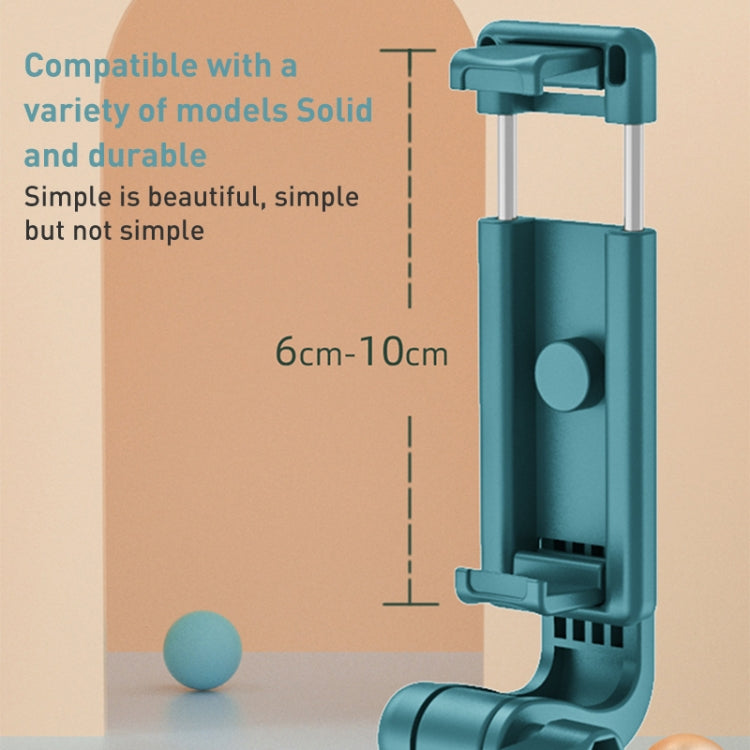 R1 Multifunctional Bluetooth Tripod Selfie Stick - HoMEdemic™ 