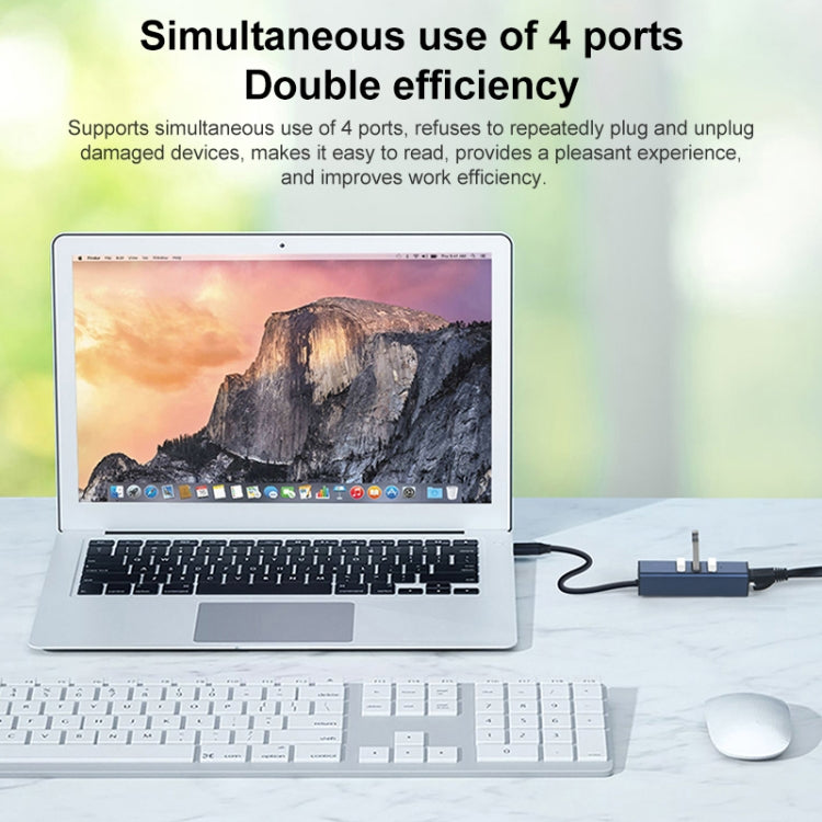 RDS 6307-3 USB-C / Type-C to USB3.0 + Dual USB2.0 + RJ45 4 in 1 HUB Adapter - HoMEdemic™ 