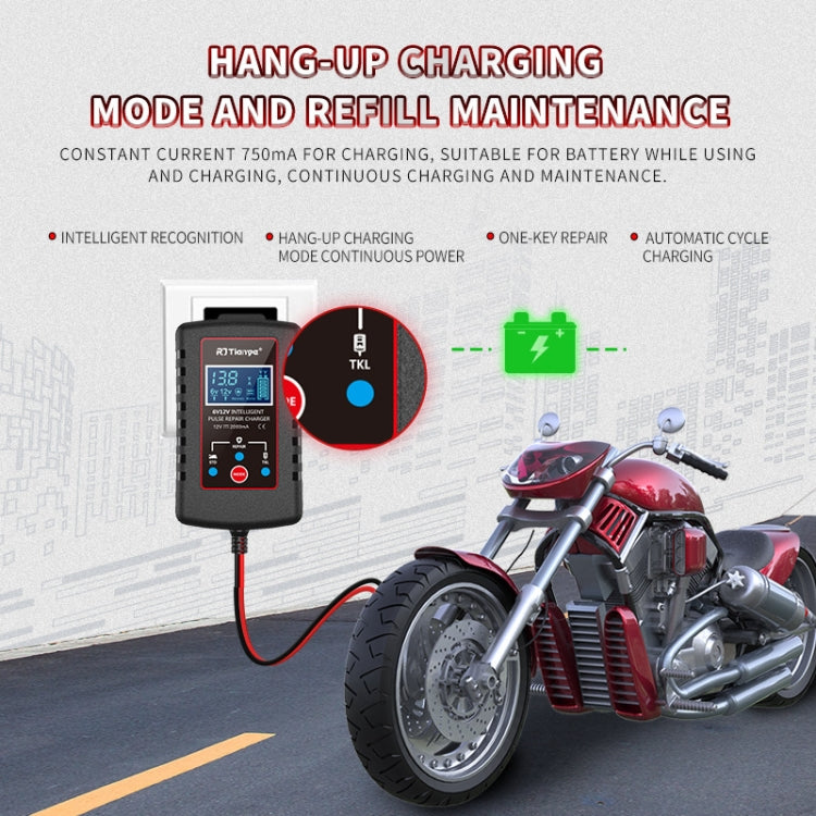 RJtianye 6V/12V ASE Adapter Cable Car Motorcycle Lawn Mower Battery Charger(EU Plug) - HoMEdemic™ 