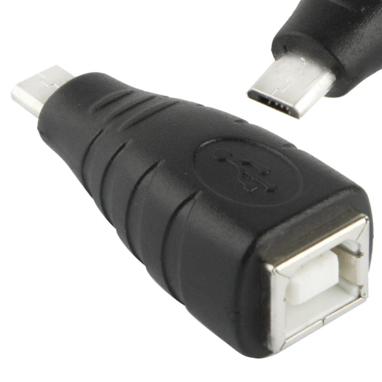 Micro USB Male to USB BF Adapter, USB B Female - HoMEdemic™ 