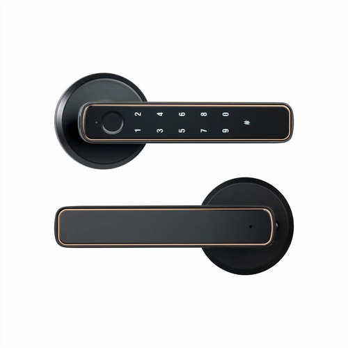 Smart Bluetooth Fingerprint Access Door Lock - HoMEdemic™ 