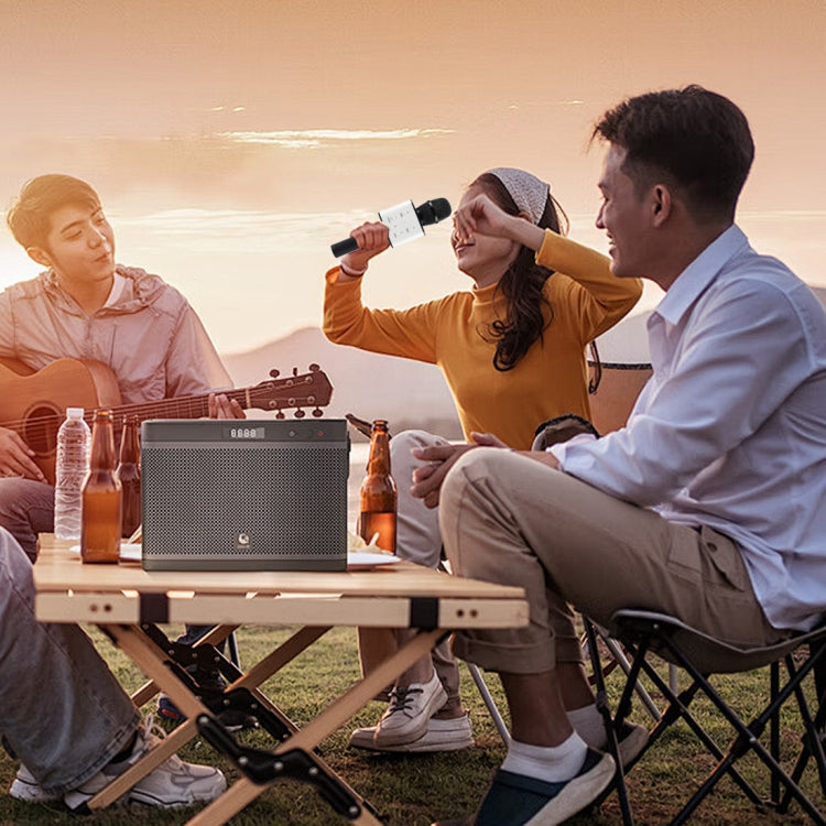 SDRD SD-08 Double Speakers High Sound Quality Handheld KTV Karaoke Recording Bluetooth Wireless Condenser Microphone - HoMEdemic™ 